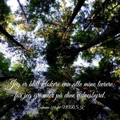 Picture 03 - Salmene 119:99 NORSK - Jeg er blitt klokere enn alle mine lærere; for - Bible Verse Picture
