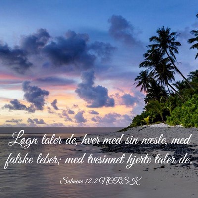 Picture 03 - Salmene 12:2 NORSK - Løgn taler de, hver med sin næste, med falske - Bible Verse Picture