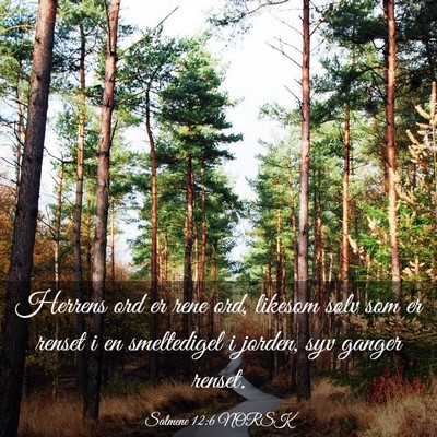Picture 03 - Salmene 12:6 NORSK - Herrens ord er rene ord, likesom sølv som er - Bible Verse Picture