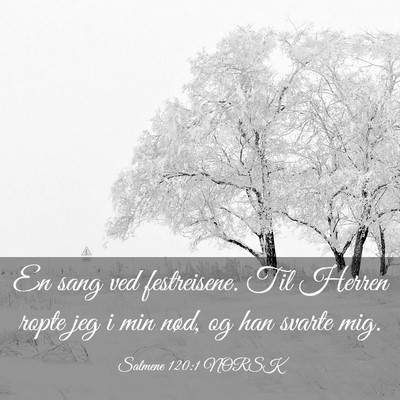 Picture 03 - Salmene 120:1 NORSK - En sang ved festreisene. Til Herren ropte jeg i - Bible Verse Picture