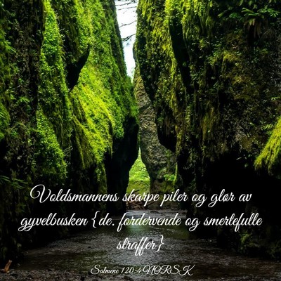 Picture 03 - Salmene 120:4 NORSK - Voldsmannens skarpe piler og glør av gyvelbusken - Bible Verse Picture