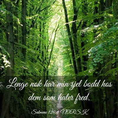 Picture 03 - Salmene 120:6 NORSK - Lenge nok har min sjel bodd hos dem som hater - Bible Verse Picture