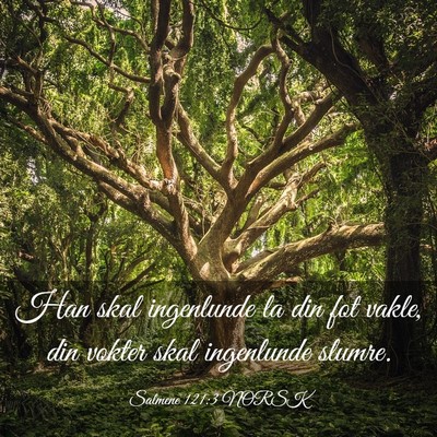 Picture 03 - Salmene 121:3 NORSK - Han skal ingenlunde la din fot vakle, din vokter - Bible Verse Picture