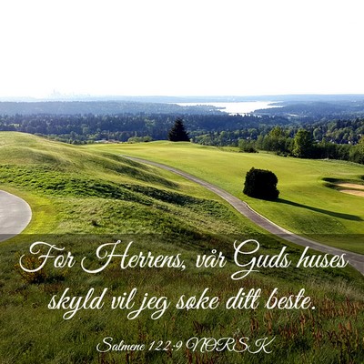 Picture 03 - Salmene 122:9 NORSK - For Herrens, vår Guds huses skyld vil jeg søke - Bible Verse Picture