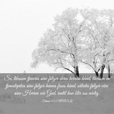 Picture 03 - Salmene 123:2 NORSK - Se, likesom tjeneres øine følger deres herrers - Bible Verse Picture
