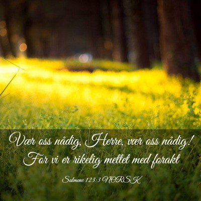 Picture 03 - Salmene 123:3 NORSK - Vær oss nådig, Herre, vær oss nådig! For vi - Bible Verse Picture
