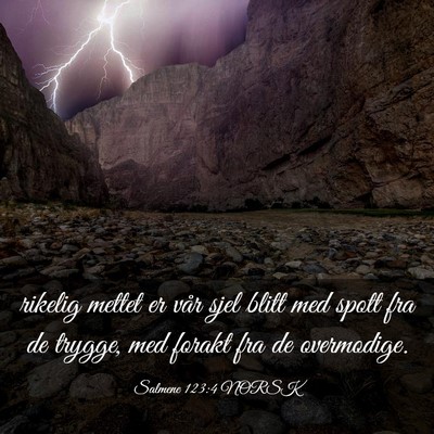 Picture 03 - Salmene 123:4 NORSK - rikelig mettet er vår sjel blitt med spott fra - Bible Verse Picture