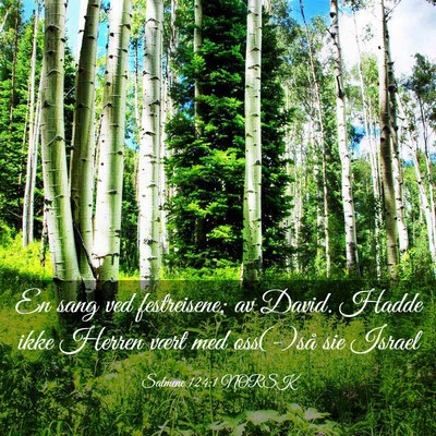 Picture 03 - Salmene 124:1 NORSK - En sang ved festreisene; av David. Hadde ikke - Bible Verse Picture