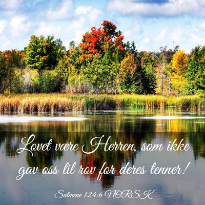 Picture 03 - Salmene 124:6 NORSK - Lovet være Herren, som ikke gav oss til rov for - Bible Verse Picture