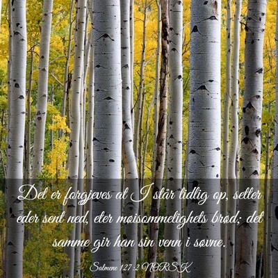 Picture 03 - Salmene 127:2 NORSK - Det er forgjeves at I står tidlig op, setter - Bible Verse Picture