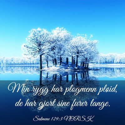 Picture 03 - Salmene 129:3 NORSK - Min rygg har plogmenn pløid, de har gjort sine - Bible Verse Picture