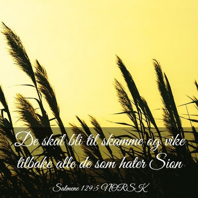 Picture 03 - Salmene 129:5 NORSK - De skal bli til skamme og vike tilbake alle de - Bible Verse Picture