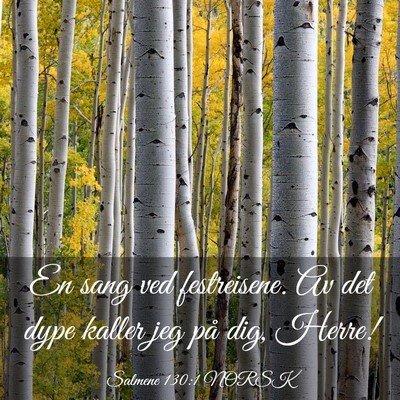 Picture 03 - Salmene 130:1 NORSK - En sang ved festreisene. Av det dype kaller jeg - Bible Verse Picture