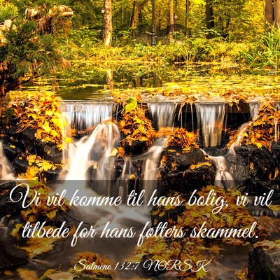 Picture 03 - Salmene 132:7 NORSK - Vi vil komme til hans bolig, vi vil tilbede for - Bible Verse Picture