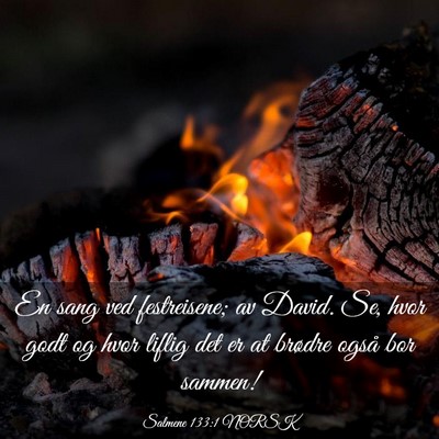 Picture 03 - Salmene 133:1 NORSK - En sang ved festreisene; av David. Se, hvor godt - Bible Verse Picture