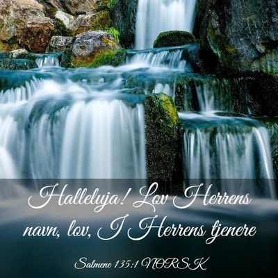 Picture 03 - Salmene 135:1 NORSK - Halleluja! Lov Herrens navn, lov, I Herrens - Bible Verse Picture