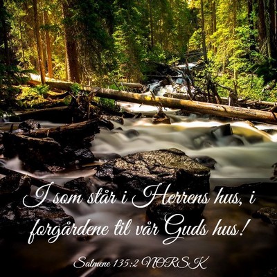 Picture 03 - Salmene 135:2 NORSK - I som står i Herrens hus, i forgårdene til vår - Bible Verse Picture