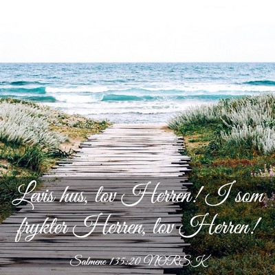 Picture 03 - Salmene 135:20 NORSK - Levis hus, lov Herren! I som frykter Herren, lov - Bible Verse Picture