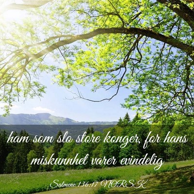 Picture 03 - Salmene 136:17 NORSK - ham som slo store konger, for hans miskunnhet - Bible Verse Picture