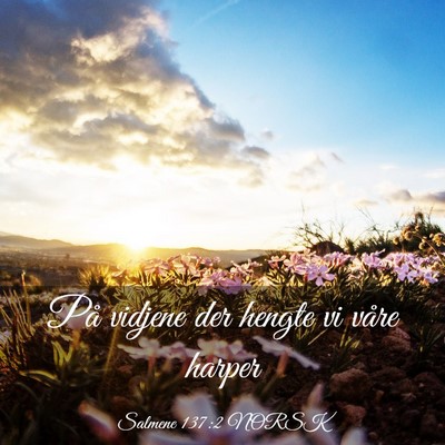 Picture 03 - Salmene 137:2 NORSK - På vidjene der hengte vi våre - Bible Verse Picture