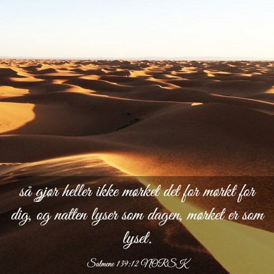 Picture 03 - Salmene 139:12 NORSK - så gjør heller ikke mørket det for mørkt for - Bible Verse Picture