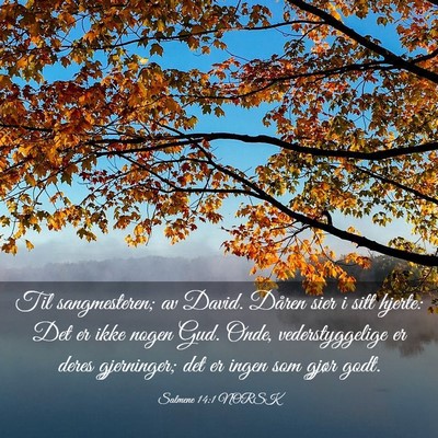 Picture 03 - Salmene 14:1 NORSK - Til sangmesteren; av David. Dåren sier i sitt - Bible Verse Picture