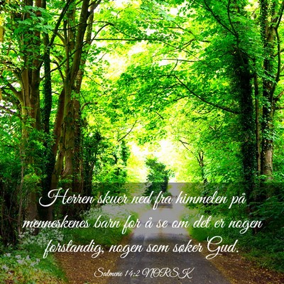 Picture 03 - Salmene 14:2 NORSK - Herren skuer ned fra himmelen på menneskenes - Bible Verse Picture