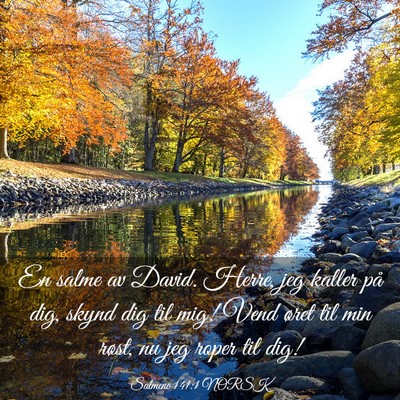 Picture 03 - Salmene 141:1 NORSK - En salme av David. Herre, jeg kaller på dig, - Bible Verse Picture