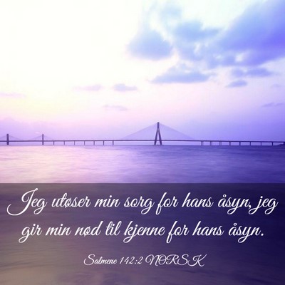 Picture 03 - Salmene 142:2 NORSK - Jeg utøser min sorg for hans åsyn, jeg gir min - Bible Verse Picture