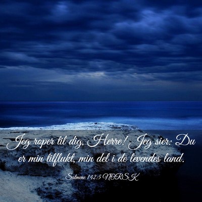 Picture 03 - Salmene 142:5 NORSK - Jeg roper til dig, Herre! Jeg sier: Du er min - Bible Verse Picture