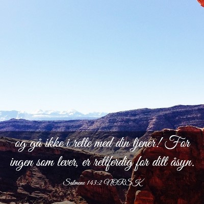 Picture 03 - Salmene 143:2 NORSK - og gå ikke i rette med din tjener! For ingen som - Bible Verse Picture