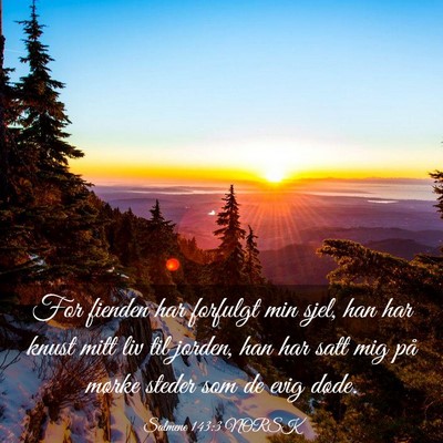 Picture 03 - Salmene 143:3 NORSK - For fienden har forfulgt min sjel, han har knust - Bible Verse Picture