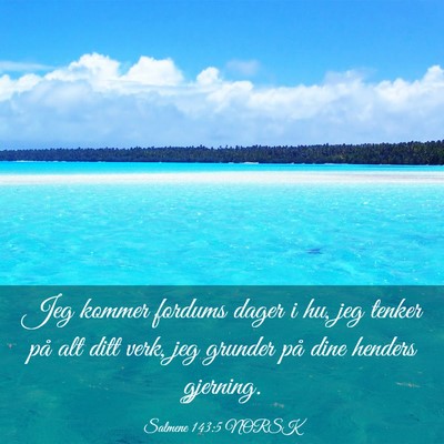 Picture 03 - Salmene 143:5 NORSK - Jeg kommer fordums dager i hu, jeg tenker på alt - Bible Verse Picture
