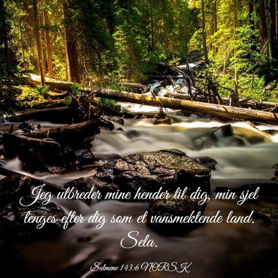 Picture 03 - Salmene 143:6 NORSK - Jeg utbreder mine hender til dig, min sjel lenges - Bible Verse Picture