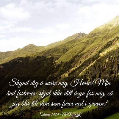 Picture 03 - Salmene 143:7 NORSK - Skynd dig å svare mig, Herre! Min ånd - Bible Verse Picture