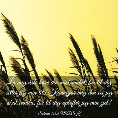 Picture 03 - Salmene 143:8 NORSK - La mig årle høre din miskunnhet, for til dig - Bible Verse Picture