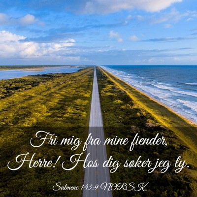 Picture 03 - Salmene 143:9 NORSK - Fri mig fra mine fiender, Herre! Hos dig søker - Bible Verse Picture