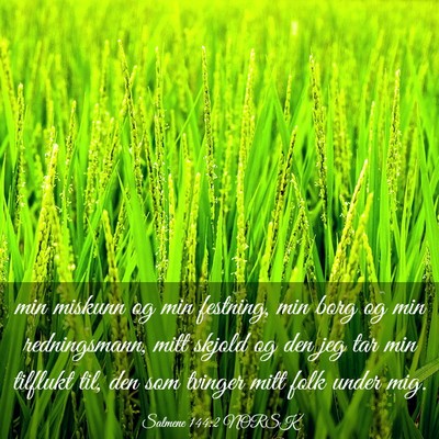 Picture 03 - Salmene 144:2 NORSK - min miskunn og min festning, min borg og min - Bible Verse Picture