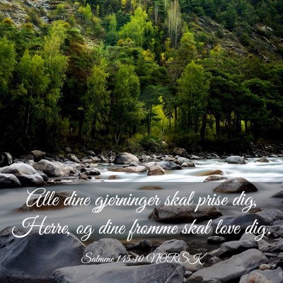 Picture 03 - Salmene 145:10 NORSK - Alle dine gjerninger skal prise dig, Herre, og - Bible Verse Picture