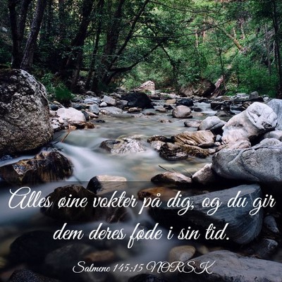 Picture 03 - Salmene 145:15 NORSK - Alles øine vokter på dig, og du gir dem deres - Bible Verse Picture