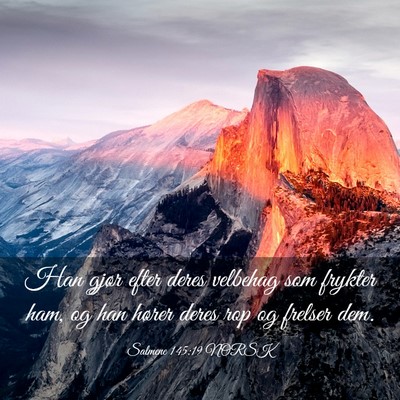 Picture 03 - Salmene 145:19 NORSK - Han gjør efter deres velbehag som frykter ham, - Bible Verse Picture