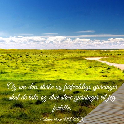 Picture 03 - Salmene 145:6 NORSK - Og om dine sterke og forferdelige gjerninger skal - Bible Verse Picture