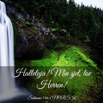 Picture 03 - Salmene 146:1 NORSK - Halleluja! Min sjel, lov - Bible Verse Picture