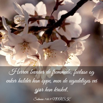 Picture 03 - Salmene 146:9 NORSK - Herren bevarer de fremmede; farløse og enker - Bible Verse Picture