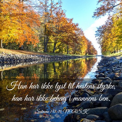 Picture 03 - Salmene 147:10 NORSK - Han har ikke lyst til hestens styrke, han har - Bible Verse Picture