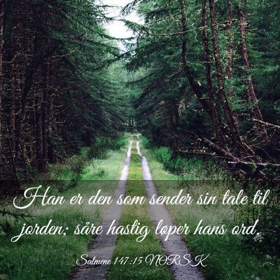 Picture 03 - Salmene 147:15 NORSK - Han er den som sender sin tale til jorden; såre - Bible Verse Picture