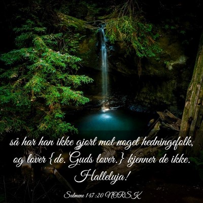 Picture 03 - Salmene 147:20 NORSK - så har han ikke gjort mot noget hedningefolk, og - Bible Verse Picture