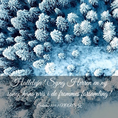 Picture 03 - Salmene 149:1 NORSK - Halleluja! Syng Herren en ny sang, hans pris i de - Bible Verse Picture