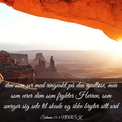 Picture 03 - Salmene 15:4 NORSK - den som ser med ringeakt på den gudløse, men - Bible Verse Picture