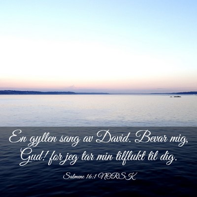 Picture 03 - Salmene 16:1 NORSK - En gyllen sang av David. Bevar mig, Gud! for jeg - Bible Verse Picture